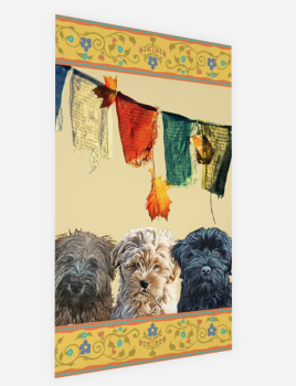 Preview: Tibetan Feature / 2026 Art Card Edition